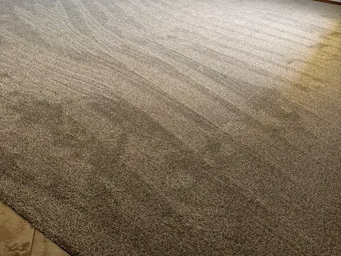carpet_1
